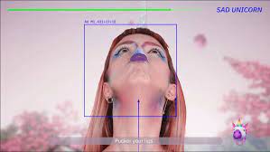And yet, despite the endless references, it isn't easy to nail down a specific definition based on context clues alone. Tiktok Face Real Life
