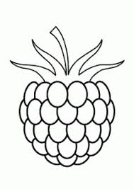 Check out some of our favorite raspberry coloring pages. Raspberry Drawing For Kids Raspberry