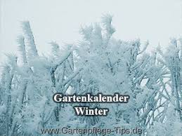 Gartenkalender Winter Gartenarbeiten Von Januar Bis Marz Gartenpflege Tipps Gartenkalender Gartenarbeit Gartenpflege