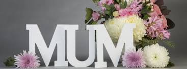 We did not find results for: Mother S Day Flower Delivery Melbourne Mordialloc Florist