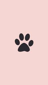 Lihat ide lainnya tentang fotografi, gambar, fotografi jalanan. 27 Ide Sorotan Instagram Kucing Instagram Kucing Seni Kucing