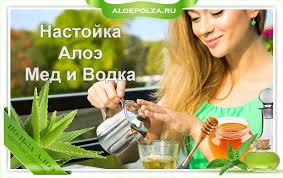 как сделать лекарство из алоэ и меда для желудка Aloe S Medom Lechebnye Svojstva I Protivopokazaniya Prigotovlenie Lekarstva V Domashnih Usloviyah Ot Chego Pomogaet