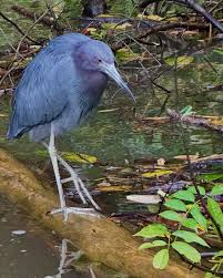 Blessings during these holy days! My previous post cut off some of my 40  family members who I celebrated with for an Italian feast of the seven  fishes in West Virginia where