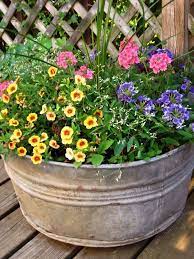 Maybe you would like to learn more about one of these? Flowers For Full Sun Heat Pot Contains Four Types Of Heat Tolerant Annuals Requiring Full Sun Contain Garden Containers Plants Full Sun Container Plants
