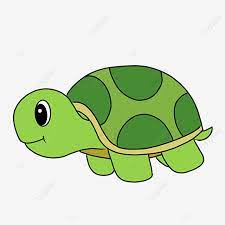Gambarkan sebuah lingkaran dan persegi panjang di bawah yang bertumpang tindih dengan lingkaran. Hand Drawn Cartoon Tortoise Clipart Turtle Clipart Tortoise Clip Art Png Transparent Clipart Image And Psd File For Free Download