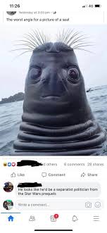 28 Comments That Hit Like A Punch To The Gut Animal Jokes Cute Funny Animals Funny Animal Pictures