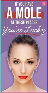 Aurora Levine (sophiaxq14)」のプロフィール｜Pinterest