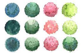 Watercolor Trees Set Top View Watercolor Trees Landscape Sketch Trees Top View