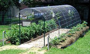 We used three panels per row. Use Cattle Panels To Build An Arched Trellis Hoop House Dave S Garden