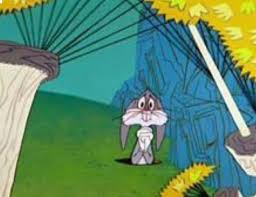 Kill The Wabbit Looney Tunes Classic Cartoons Cartoon