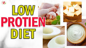 These foods provide energy and give variety to the diet. Low Protein Diet Protein Diet For Kidney Patient Low Protein Renal Diet Low Protein Foods Diet Youtube