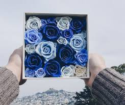 Watch as host candie cooper creates a charming floral arrangement that doesn't need any watering! Real Roses That Last A Year Bovi Flowers Reveals All