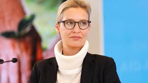 Video übernommen von alice weidel. Afd Alice Weidel Will Auf Parteitag Nicht Spitzenkandidatin Werden