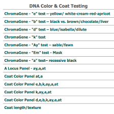 44 Complete French Bulldog Dna Chart