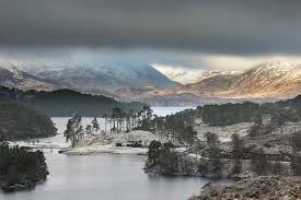 We did not find results for: Glen Affric Scotland