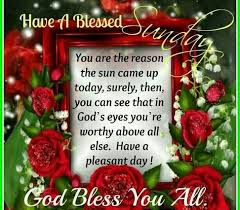 Send these blessed sunday greetings to your loved ones and wish them great. Have A Blessed Sunday Sunday Happy Sunday Sunday Greeting Sunday Quote Sunday Blessings Friends And Fa Blessed Sunday Have A Blessed Sunday Happy Sunday Quotes