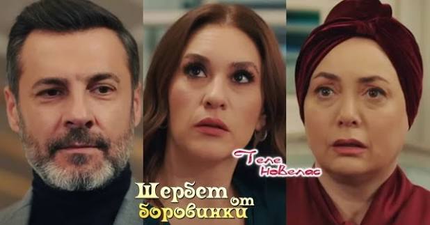 Telenovellas - Утре в "Шербет от боровинки": Йомер предлага на Кавълджъм да  се оженят пред погледите на роднините си; Ниляй пуска запис на Пембе как  Умут признава, че обича Нурсема (12 февруари)