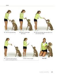 Dog Training Hand Signals Pdf