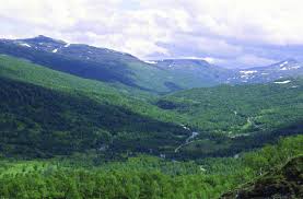 Looking for exclusive deals on midtre gauldal hotels? Budalen Seterdal Midtre Gauldal Kommune I Sor Trondelag I Likhet Med Download Scientific Diagram