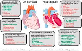 Discovery Of New Therapeutic Redox Targets For Cardioprotection Against Ischemia Reperfusion Injury And Heart Failure Sciencedirect