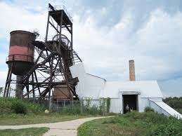 Image result for Elymandra grallata