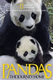 Here S Everything Coming To Netflix In September Panda Journey Home Movies