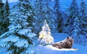 Live Wallpaper For Pc Christmas Desktop Wallpaper Christmas Live Wallpaper Christmas Wallpaper