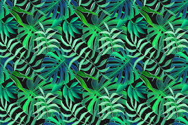 Check spelling or type a new query. 47 Tropical Leaf Wallpaper Patterns On Wallpapersafari