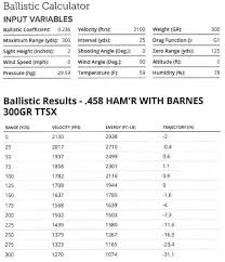 Gun Review The Big Shot Wilson Combats 458 Hamr