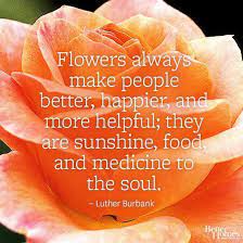 Check spelling or type a new query. Need To Brighten Your Day Or Someone Else S Flowers May Just Be The Solution To The Problem Flower Quotes Nature Quotes Short Flower Quotes