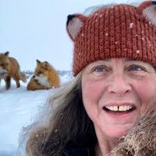 Foxes at home through the years. Which photo is your favorite, 1-10? . . .  . #SueAikens #WinterSolstice #TheAlaskaLife #Alaska #AlaskaLife  #AlaskaWildlife #AlaskanWildlife #ChenaCabin #ArcticNationalRefuge  #ArcticNationalWildlifeRefuge #KavikRiverCamp