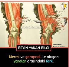 Pin By Fighting Falconturkey On Bilgi In 2020 Funny Tweets Truth Karma
