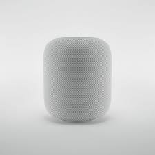 Its Friday Online Black Friday Black Friday Shopping Black Friday Stores Black Friday Sale Black In 2020 Black Friday Stores Apple Design Black Friday Gift