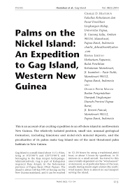 Borneo indobara is currently building a main port facility in the coast of sebamban, which will enable the company to increase its throughput significantly. Pdf Palms In The Nickel Island An Expedition To Gag Island Western New Guinea