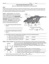 They are connected in ways that are vital for the survival of almost. Photosynthesis What S In A Leaf Worksheet Answers Pogil