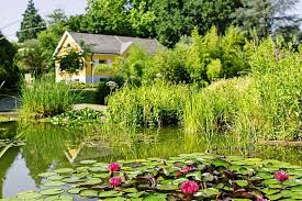 Kontakt zum messeteam button image. Freizeit Tipp Badische Zeitung Ticket