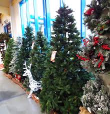 Christmas Trees In Store Christmas Display Holiday Decor Christmas