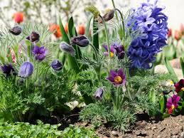Biete kräftige, großblütige gelbe taglilien. Was Gibt Es Alles Fur Blumen Blumenlexikon Und Blumenkatalog