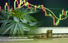 Pot Stocks Wont Get High On New Nevada Marijuana Law