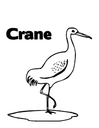 Click any coloring page to see a larger version and download it. Crane Coloring Pages Best Coloring Pages For Kids