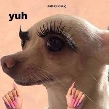 Slayed Meme | TikTok