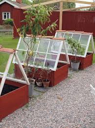 Spring is here which means it is time to get every spring my kids and i enjoy starting our garden seeds growing in our homemade it is super simple to make your own little greenhouse and a good lesson in science for your kids to watch. Easy Diy Mini Greenhouse From Reclaimed Windows Gardening Forums