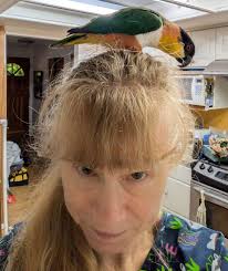 Hi all! I just wanted to introduce myself and share a photo I took in  Issaquah