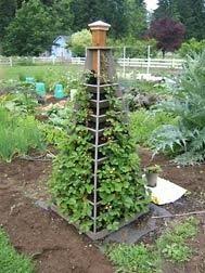 © images youtube / pinterest. 21 Idees De Diy Fontaines A Fraises Jardin Potager Jardinage Jardins