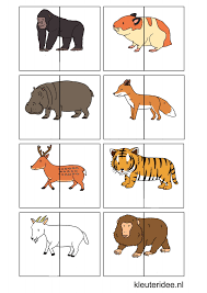 Partage Avec Dropbox Animal Activities Toddler Learning Activities Toddler Activities