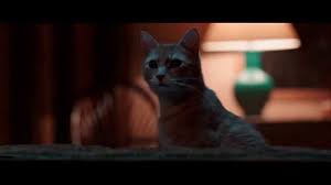 The Voices Mr Whiskers Is A Bad Cat Bad Cats Cats Whiskers