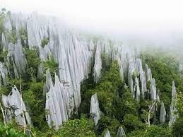 It was renamed to taman negara after independence, which literally means national park in malay. Miri