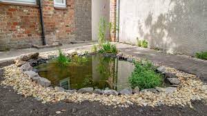 How To Build A Wildlife Pond | Wwt