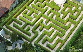 amazing maze garden / enjoy a walk in