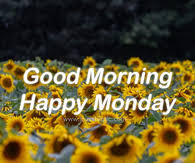 We did not find results for: Happy Monday Quotes Pictures Photos Images And Pics For Facebook Tumblr Pinterest And Twitter